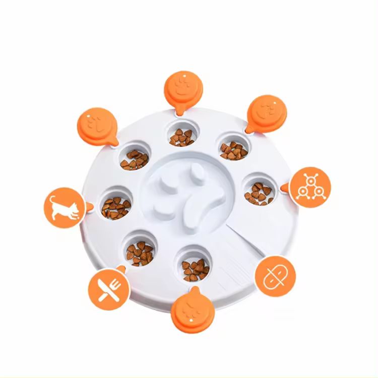 Comedero Didactico y  lento