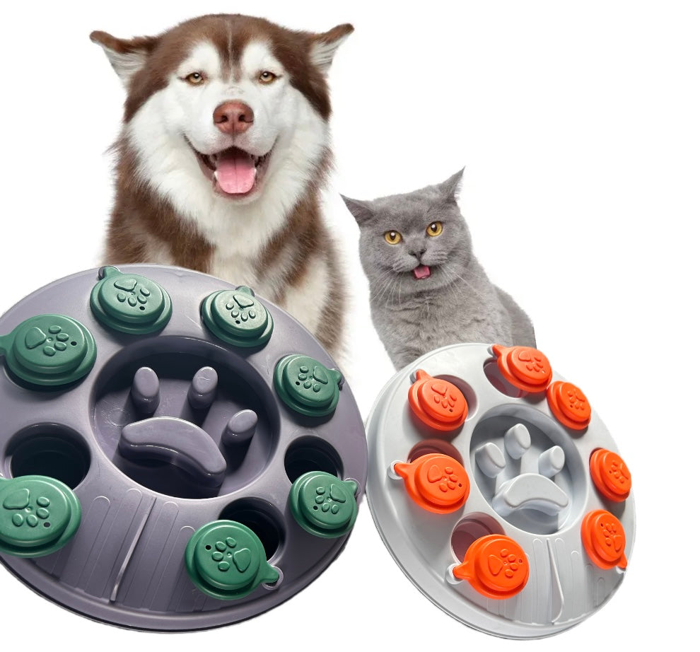 Comedero Didactico y  lento