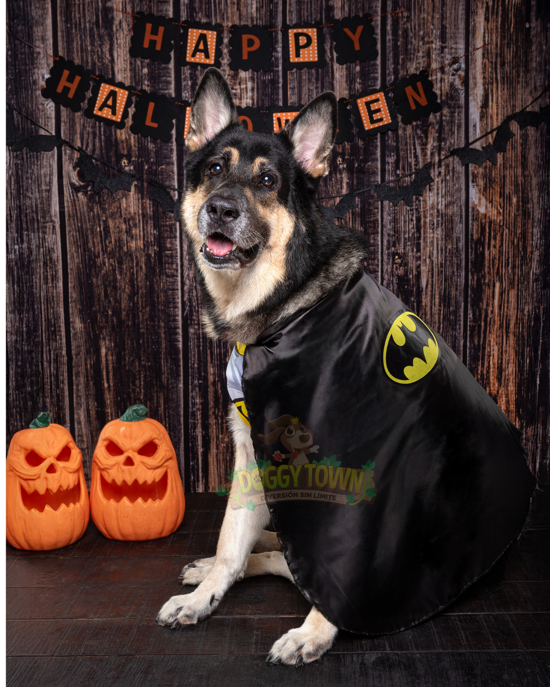 Disfraz de Batman para Mascota