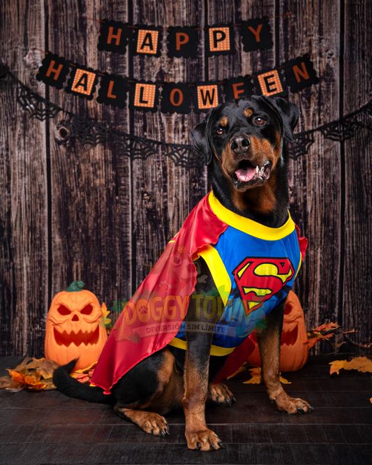 Disfraz de Superman