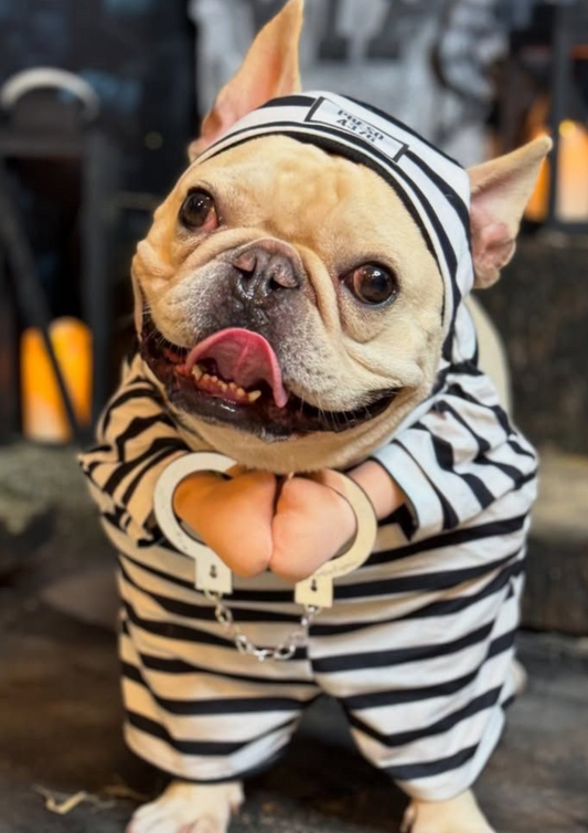 Disfraz de Preso para Perros y Gatos