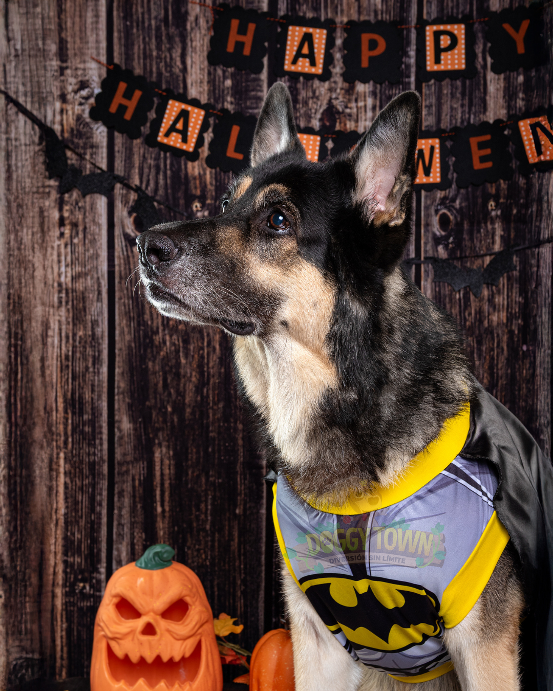 Disfraz de Batman para Mascota