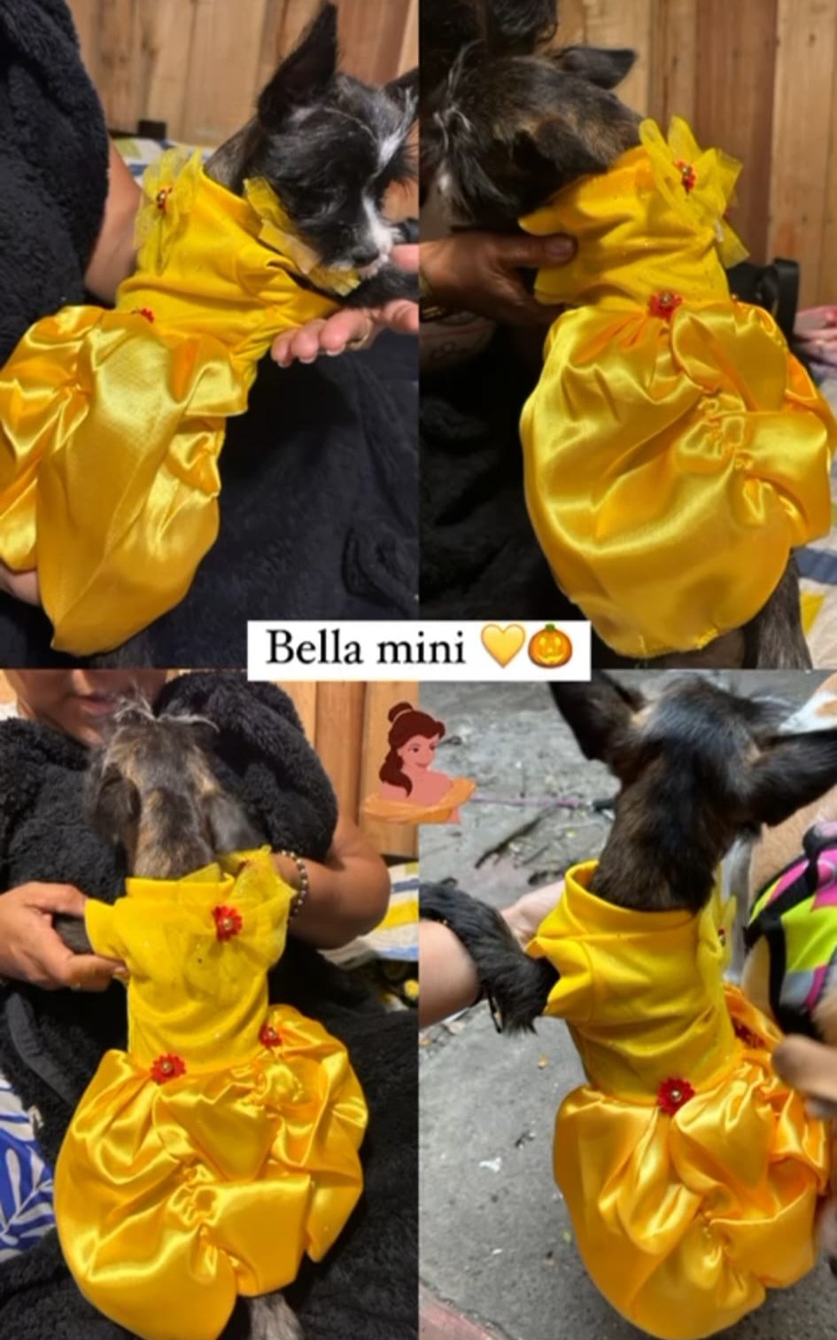 Disfraz-perro-princesa-bella