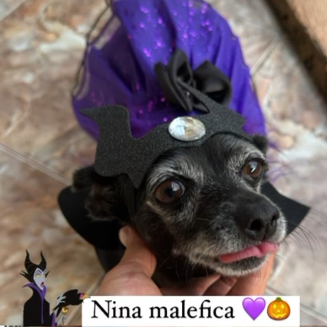 Disfraz de Maléfica