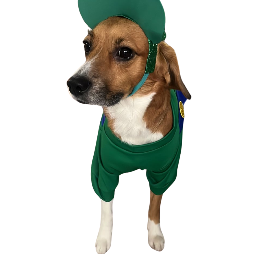 Disfraz de Luigi Bross