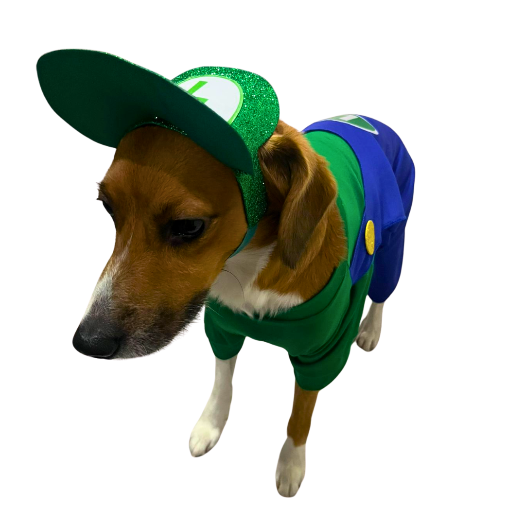 Disfraz de Luigi Bross
