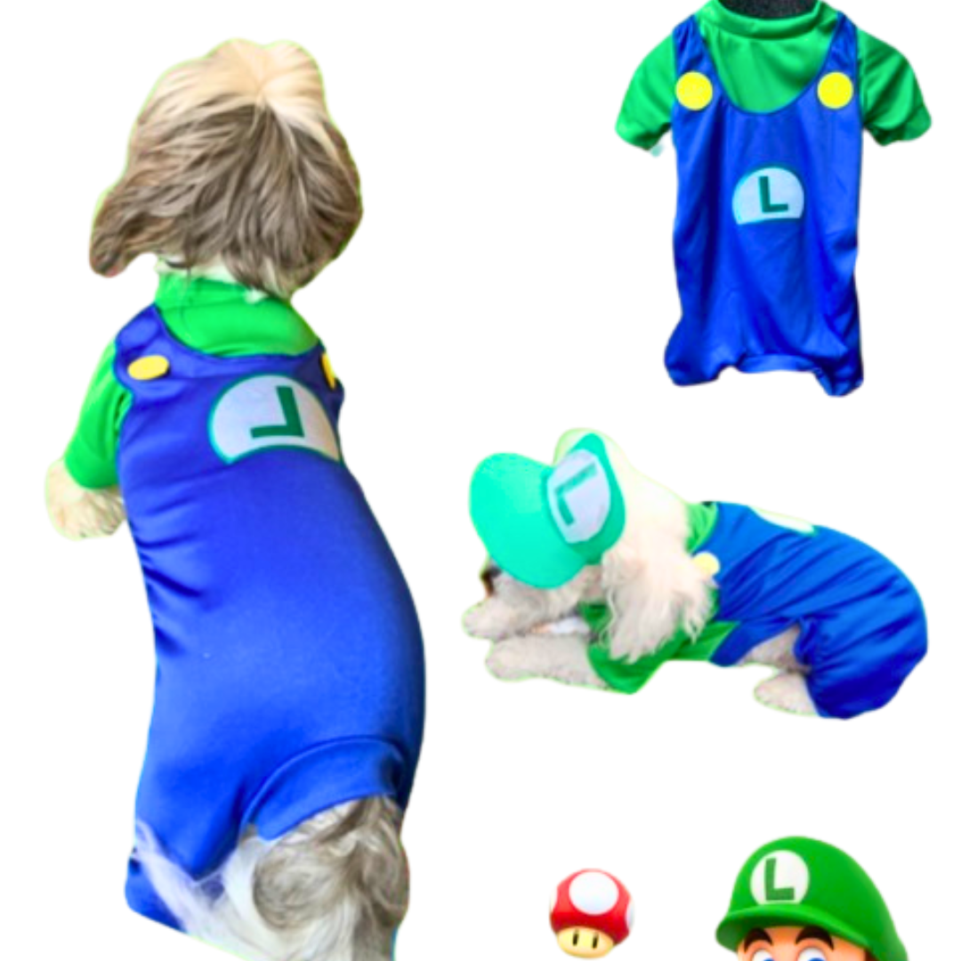Disfraz de Luigi Bross