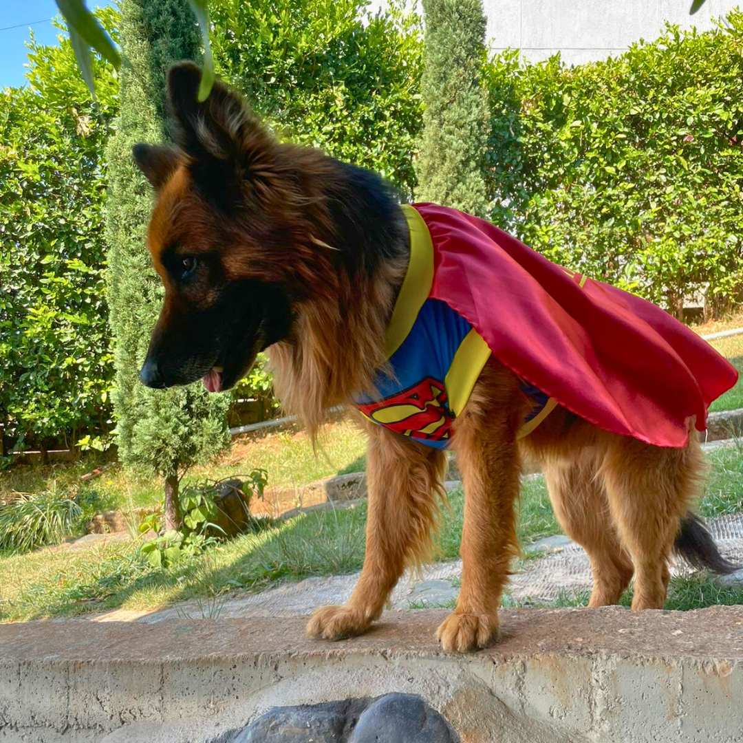 Disfraz de Superman
