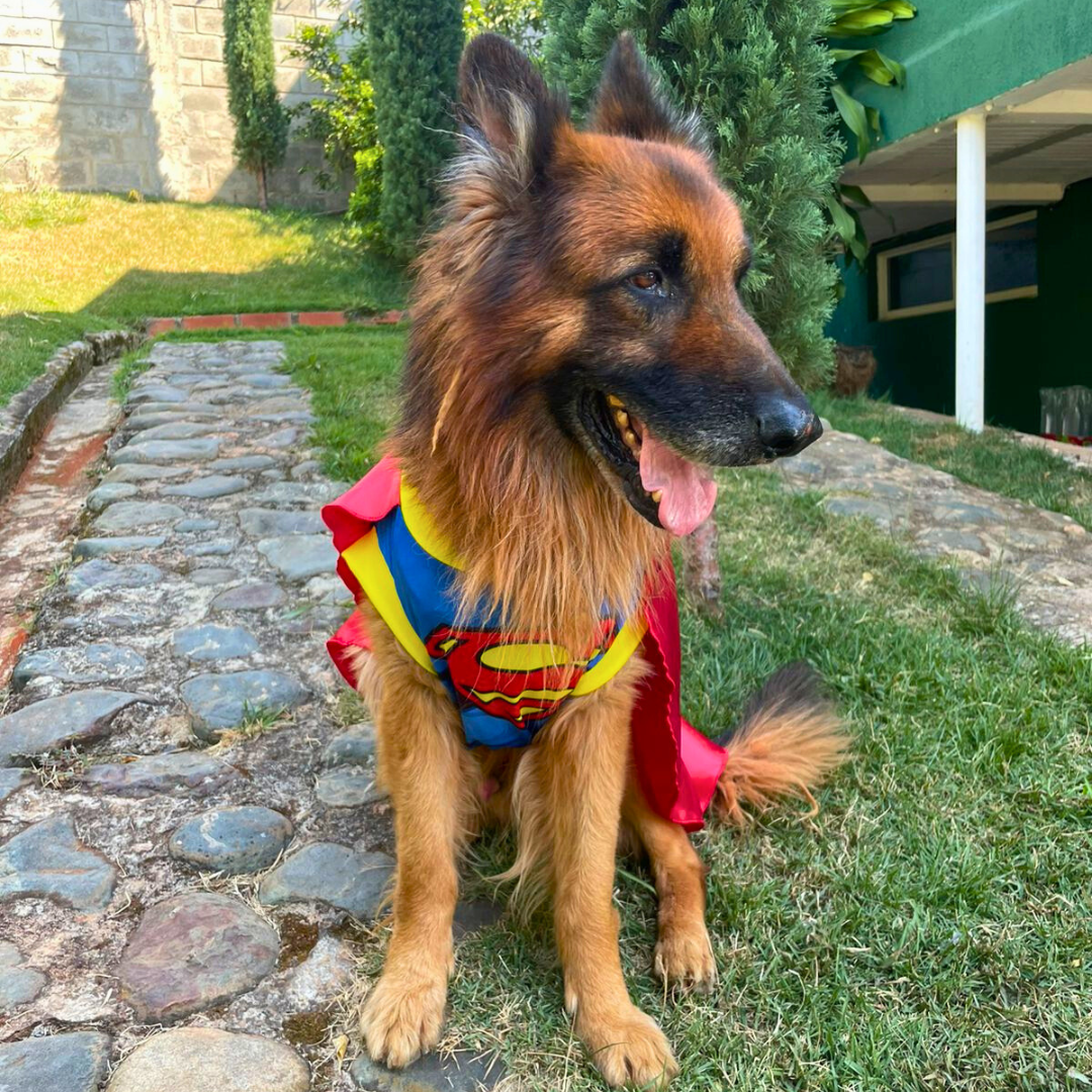 Disfraz de Superman