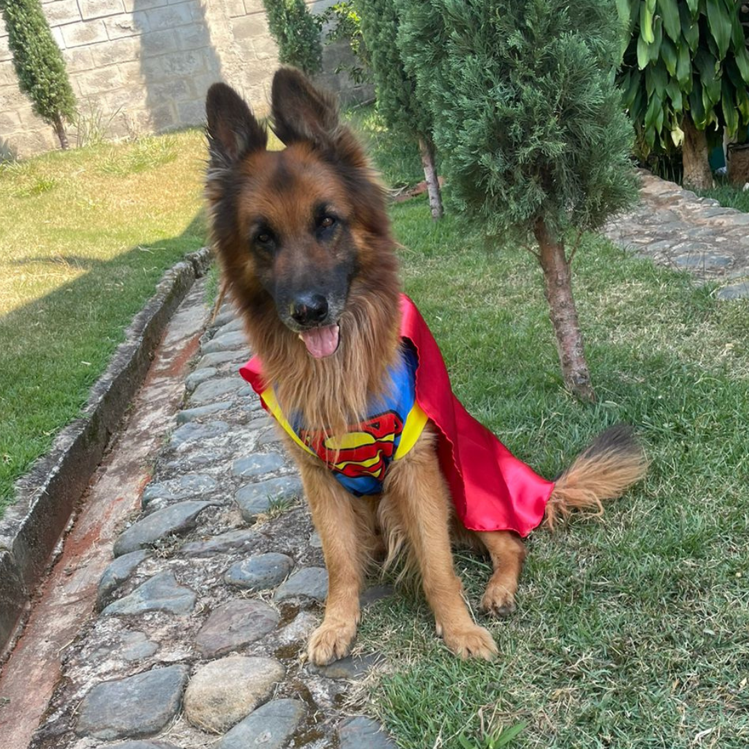 Disfraz de Superman