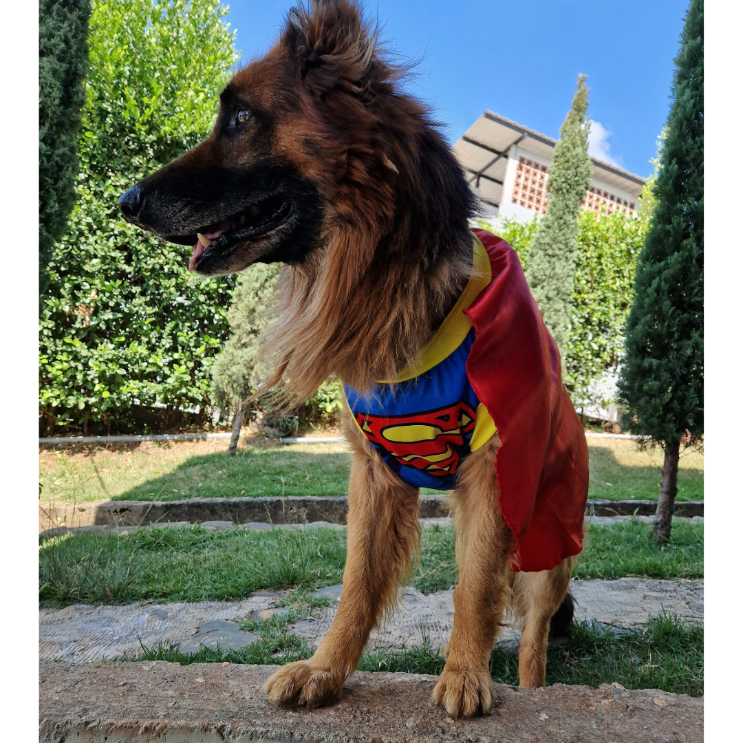 Disfraz de Superman