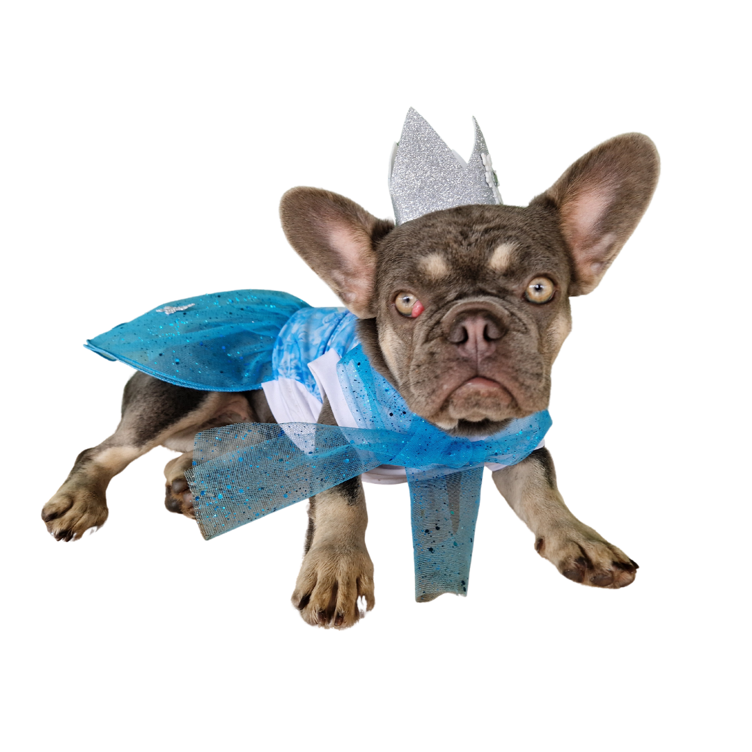 Disfraz de Princesa Frozen