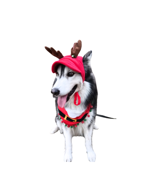Gorra Navidad Reno Roja Cuernos Marrón