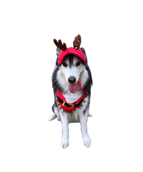Gorra Navidad Reno Roja Cuernos Marrón