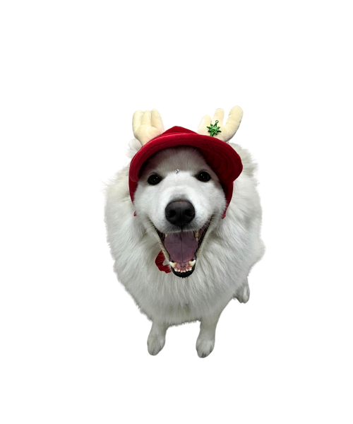 Gorra Navidad Reno Roja Cuernos Beige