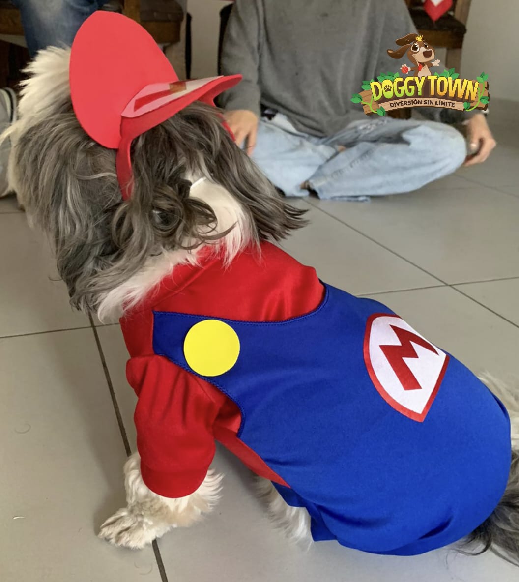 Mario Bross