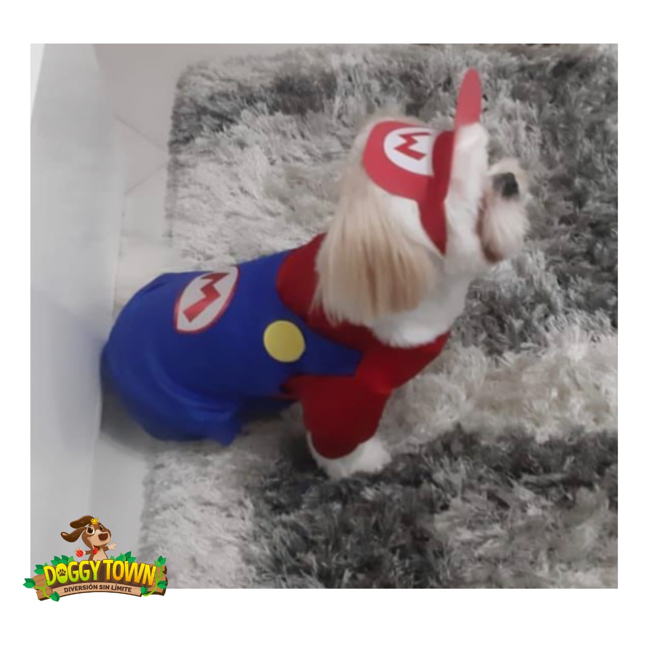 Mario Bross