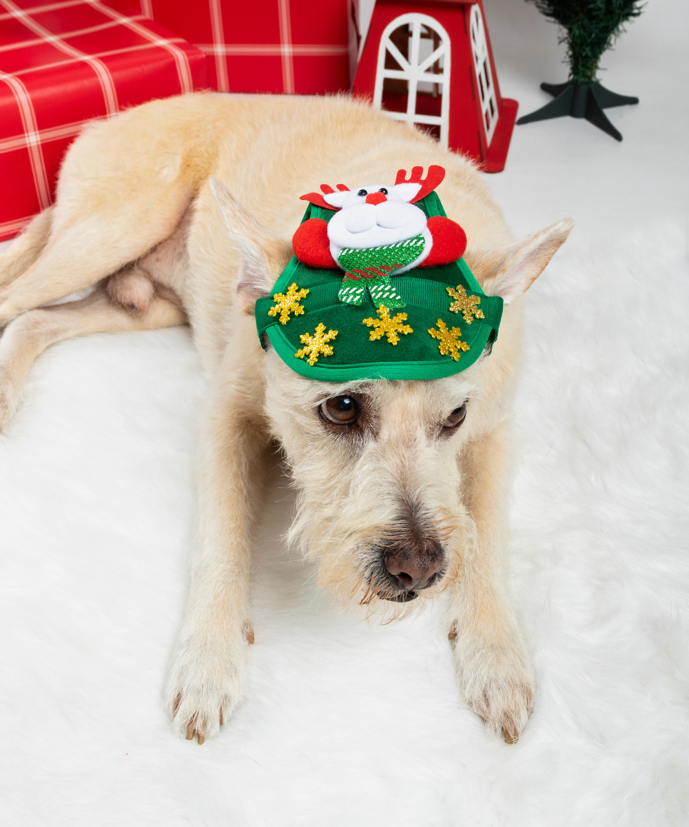 Gorra Navidad Verde