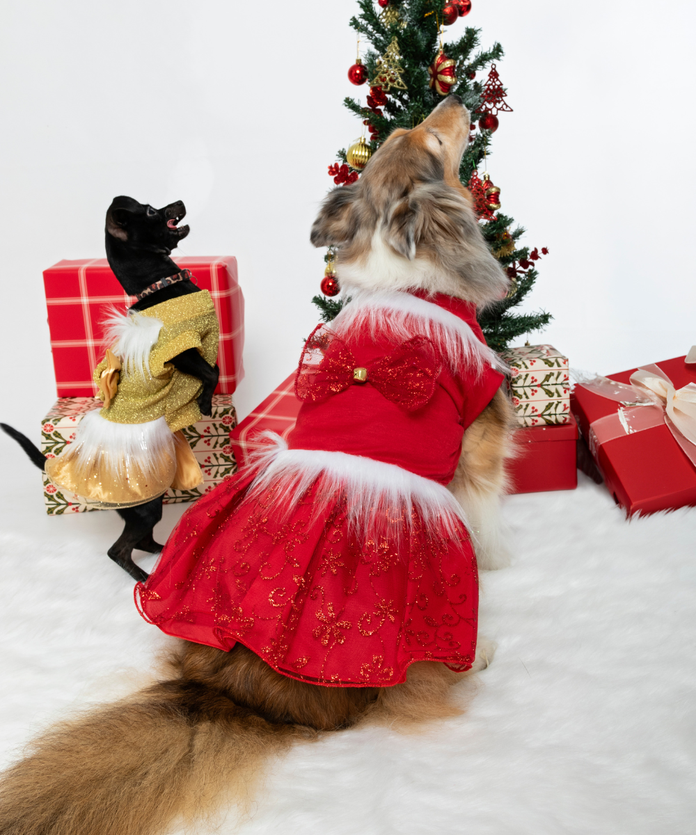 Vestido Navidad Rojo