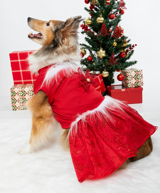 Vestido Navidad Rojo