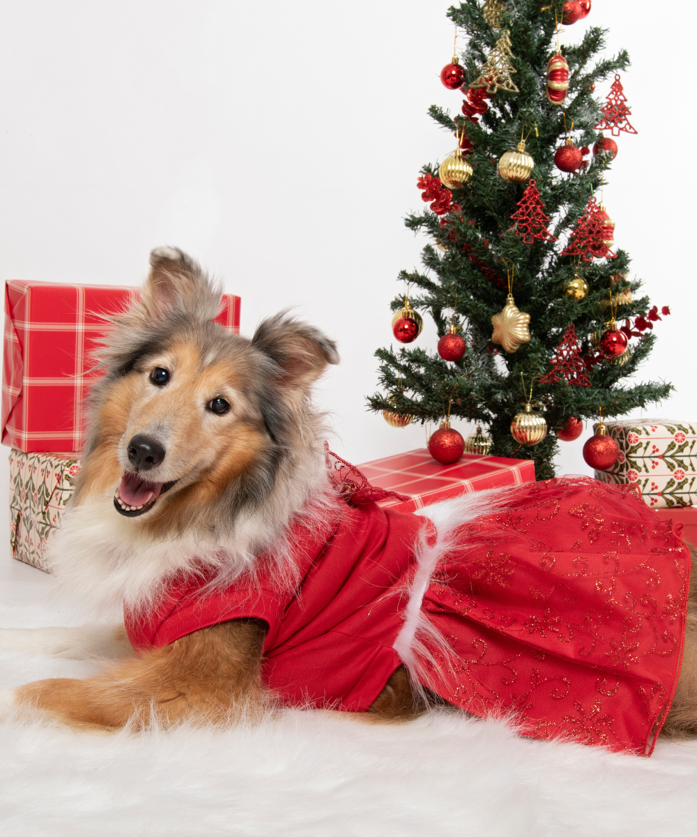 Vestido Navidad Rojo