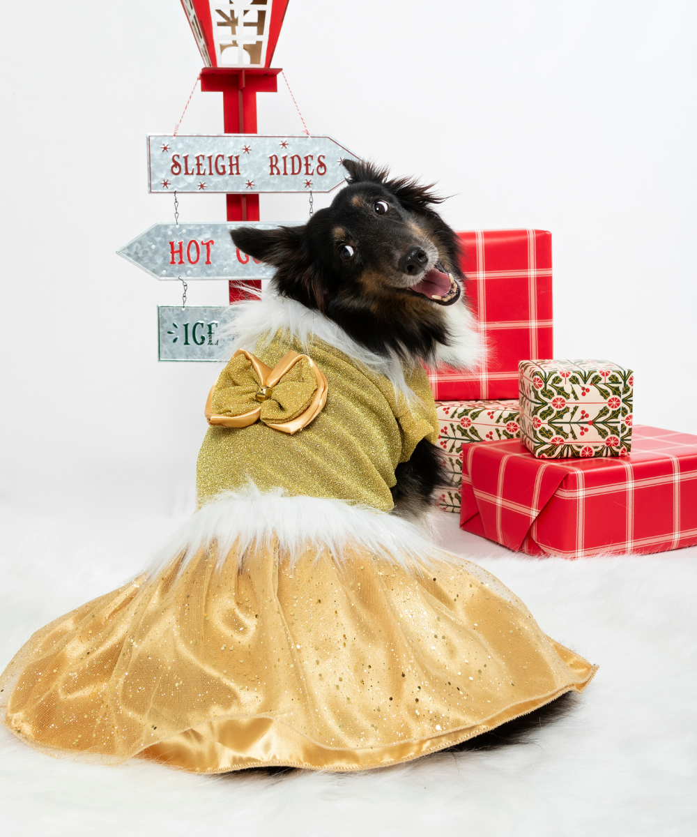 Vestido Mamá Noel