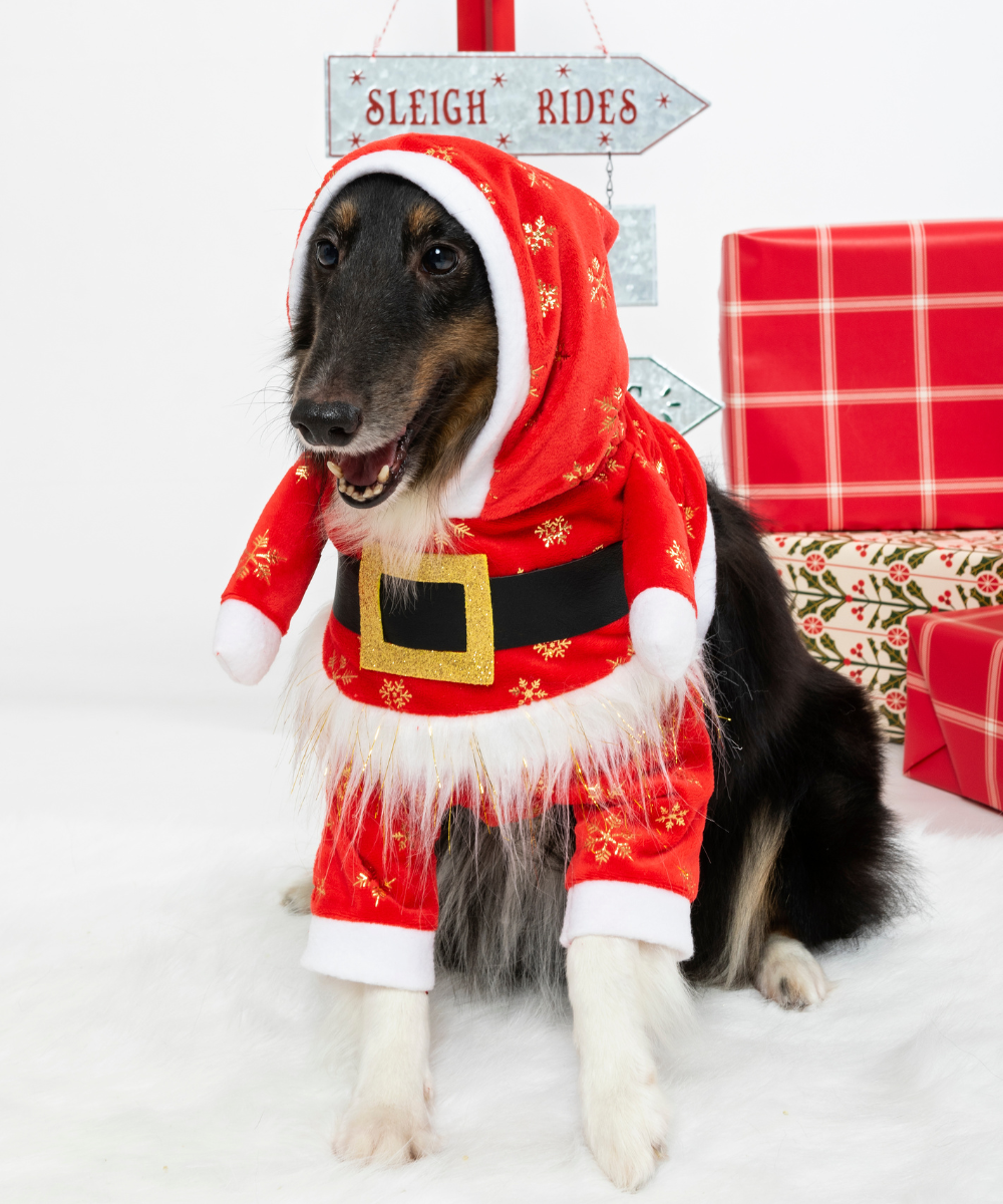 Traje Papá Noel 2 Paticas