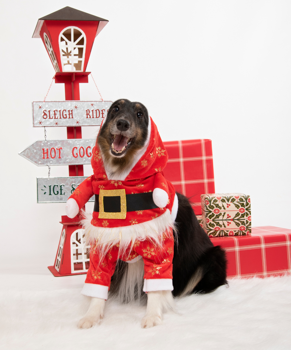 Traje Papá Noel 2 Paticas