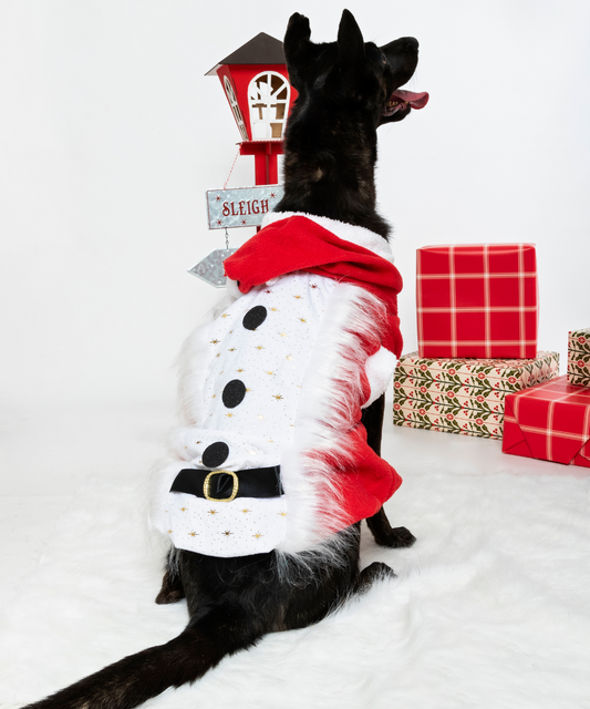 Saco Papá Noel