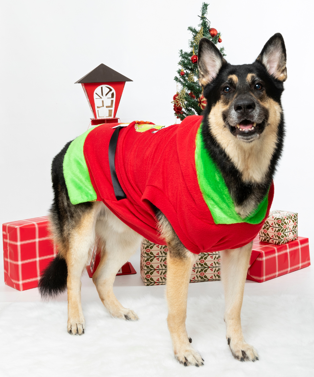 Saco Grinch