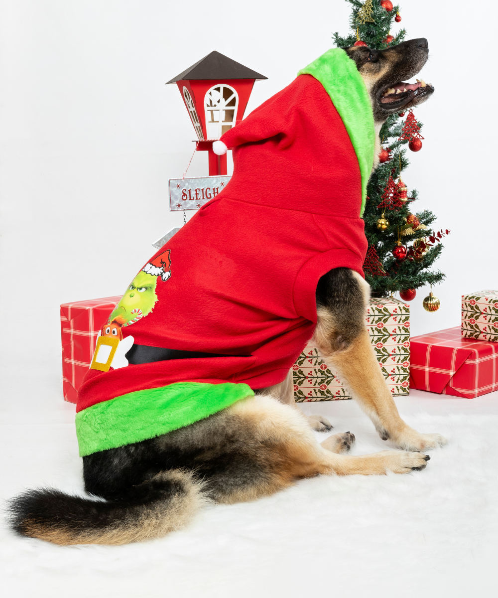 Saco Grinch