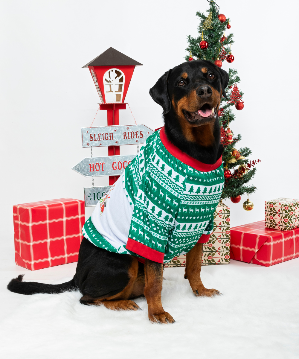Camiseta verde Navidad