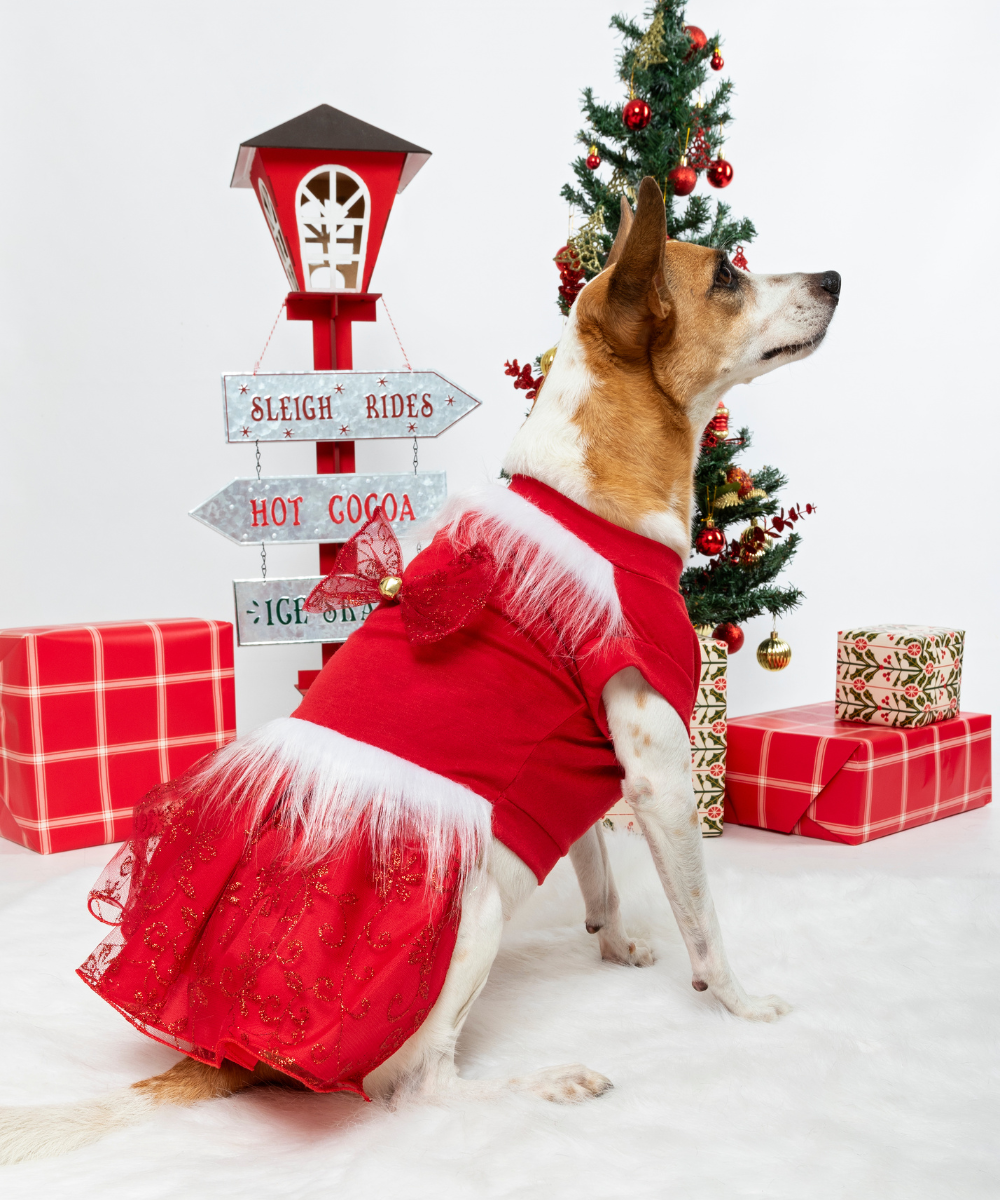 Vestido Navidad Rojo