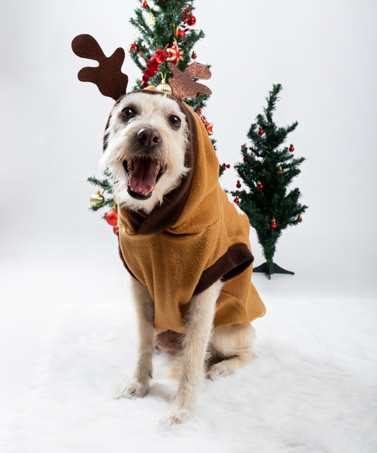 Saco Reno Navidad