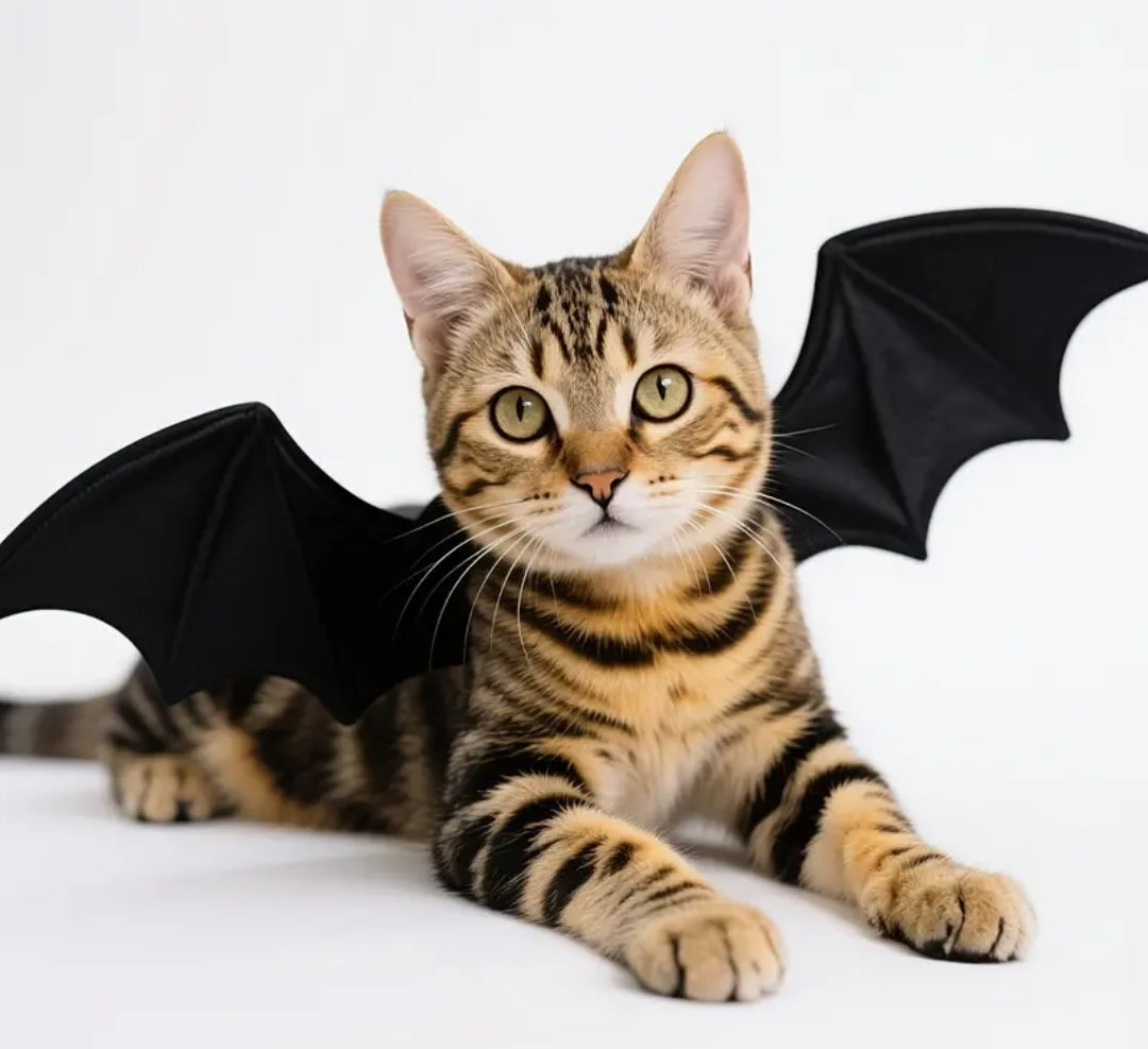 Alas de Murcielago para Perros y Gatos