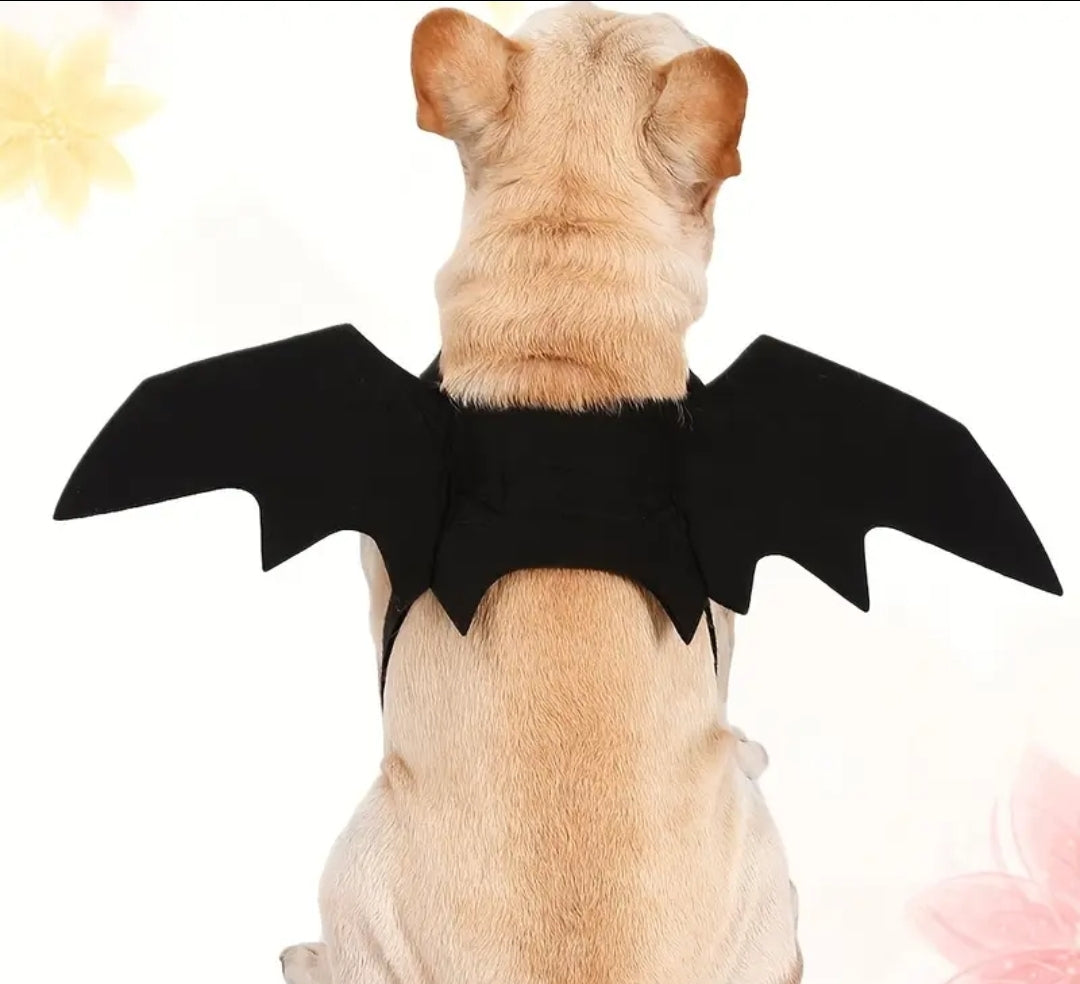 Alas de Murcielago para Perros y Gatos