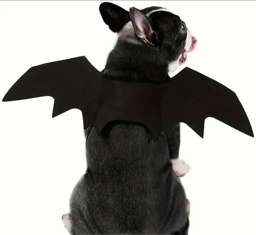 Alas de Murcielago para Perros y Gatos