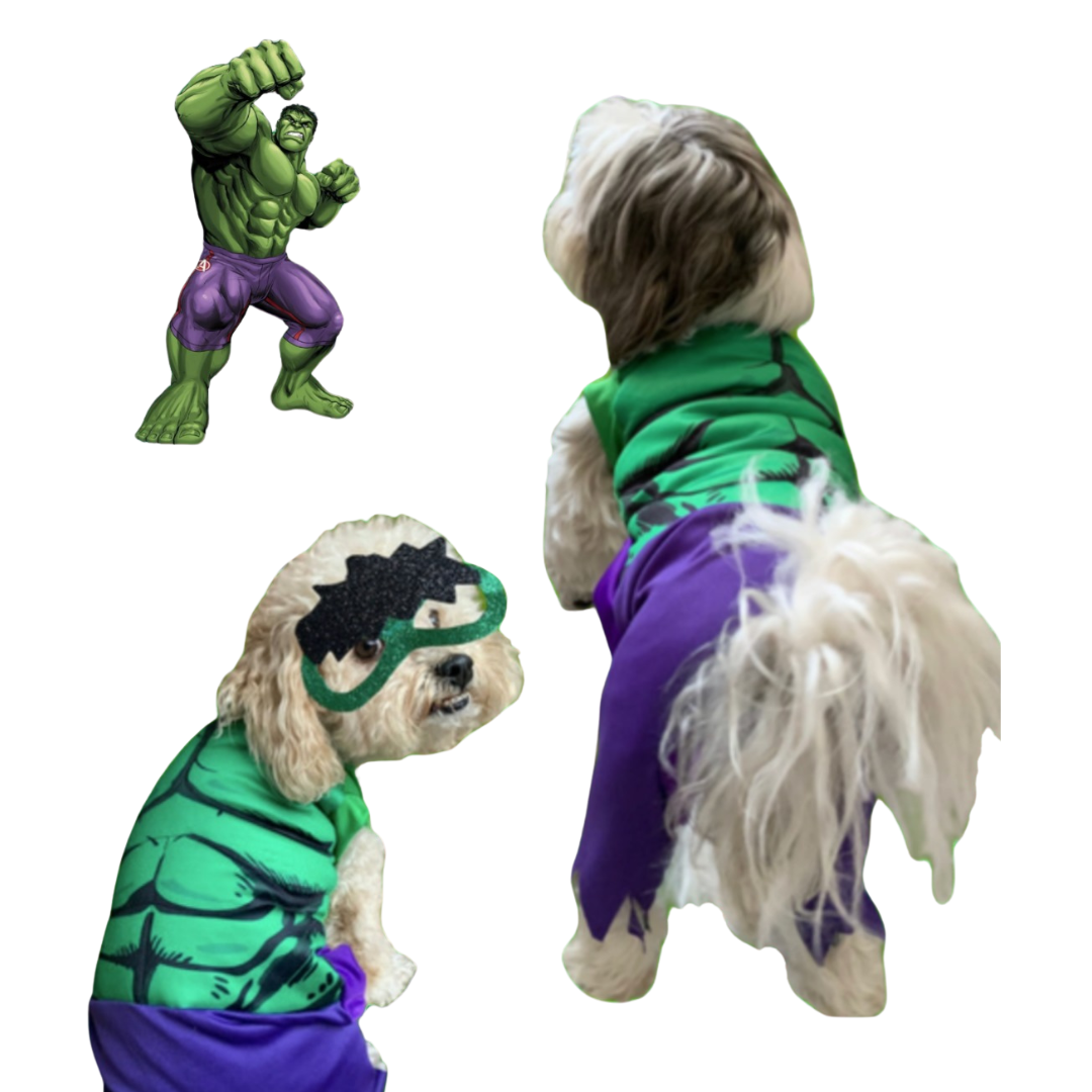 Disfraz de Hulk