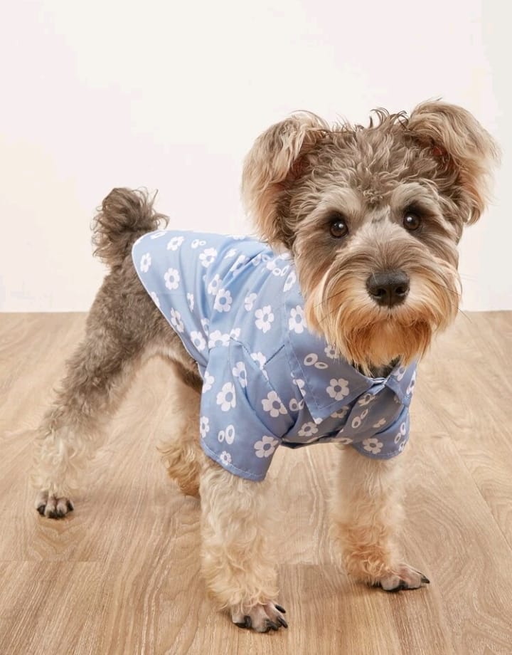 Camisa para Perro Estampado Flores - Azul