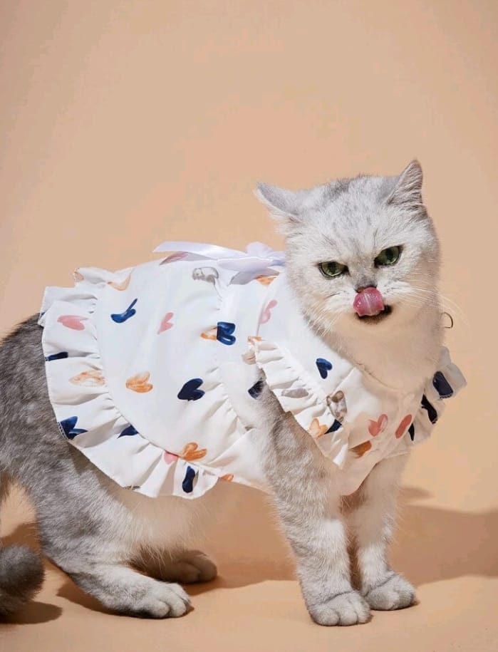 Vestido para Mascotas Estampado Corazones