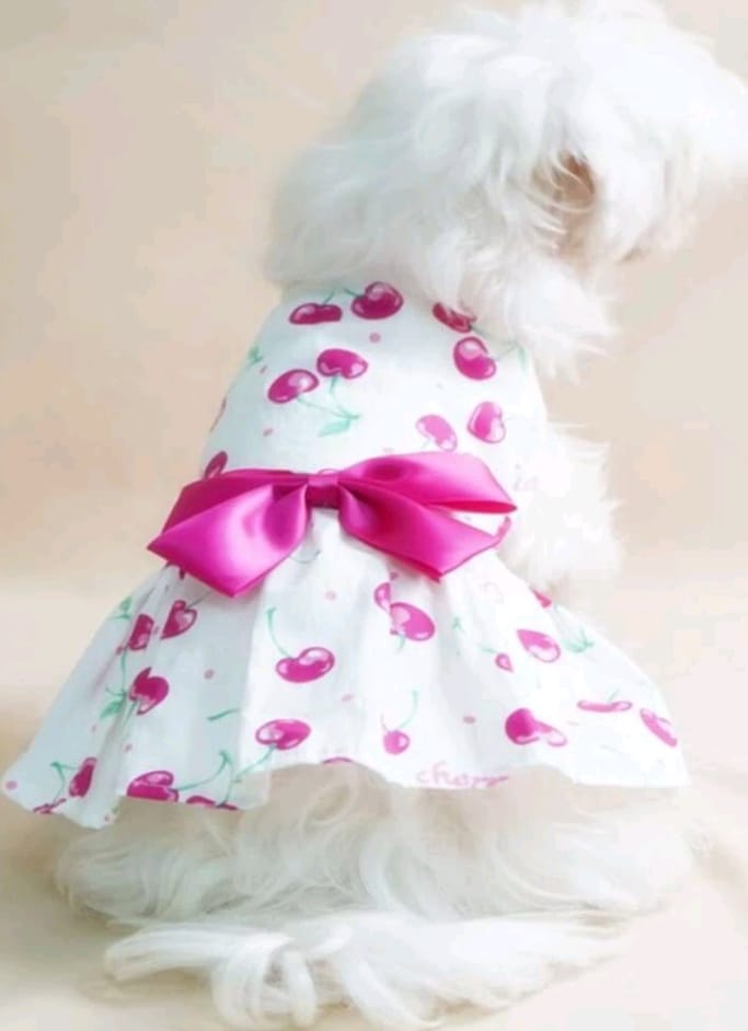 Vestido para Mascotas Estampado Frutas