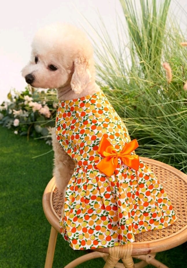 Vestido para Mascotas Estampado Frutas