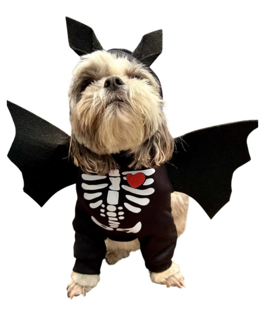 Disfraz de Murciélago para Perros