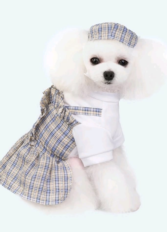 Vestido para Mascotas Estampado Cuadros con Sombrero