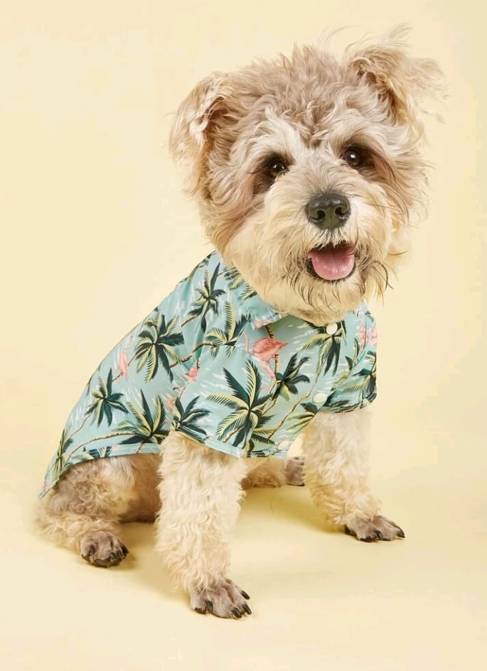 Camisa para Perros Estampado Palmas 2XL