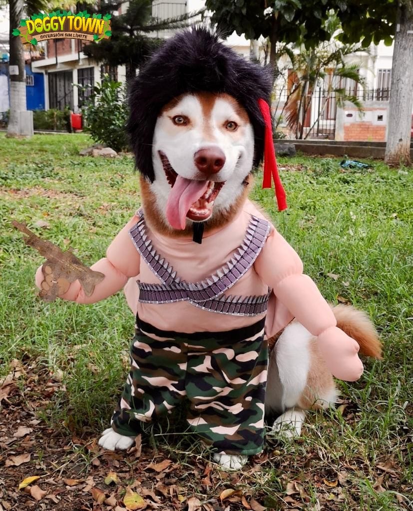 Disfraz de Rambo para Perros