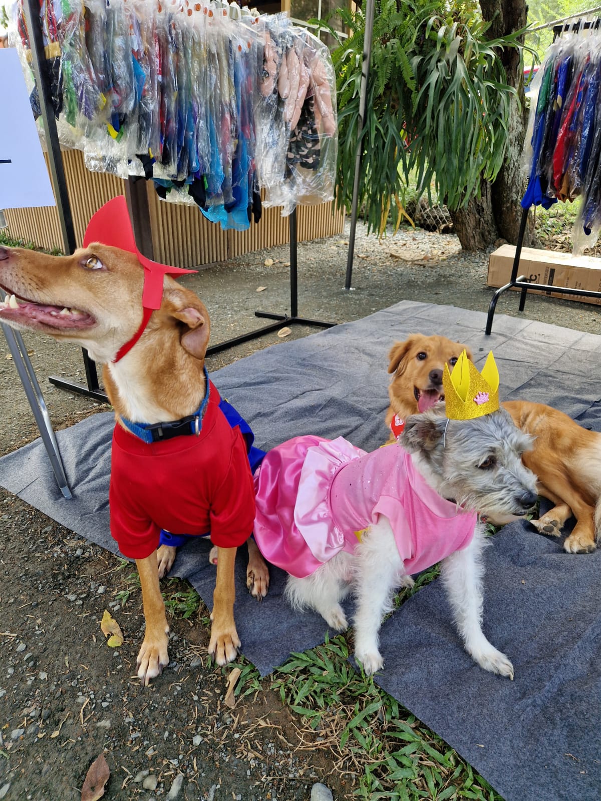 Princesa Peach