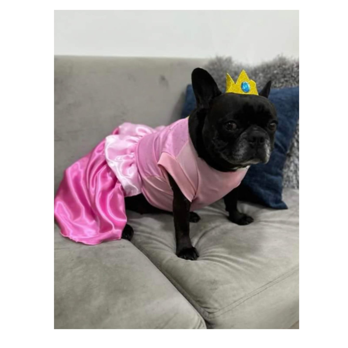 Princesa Peach