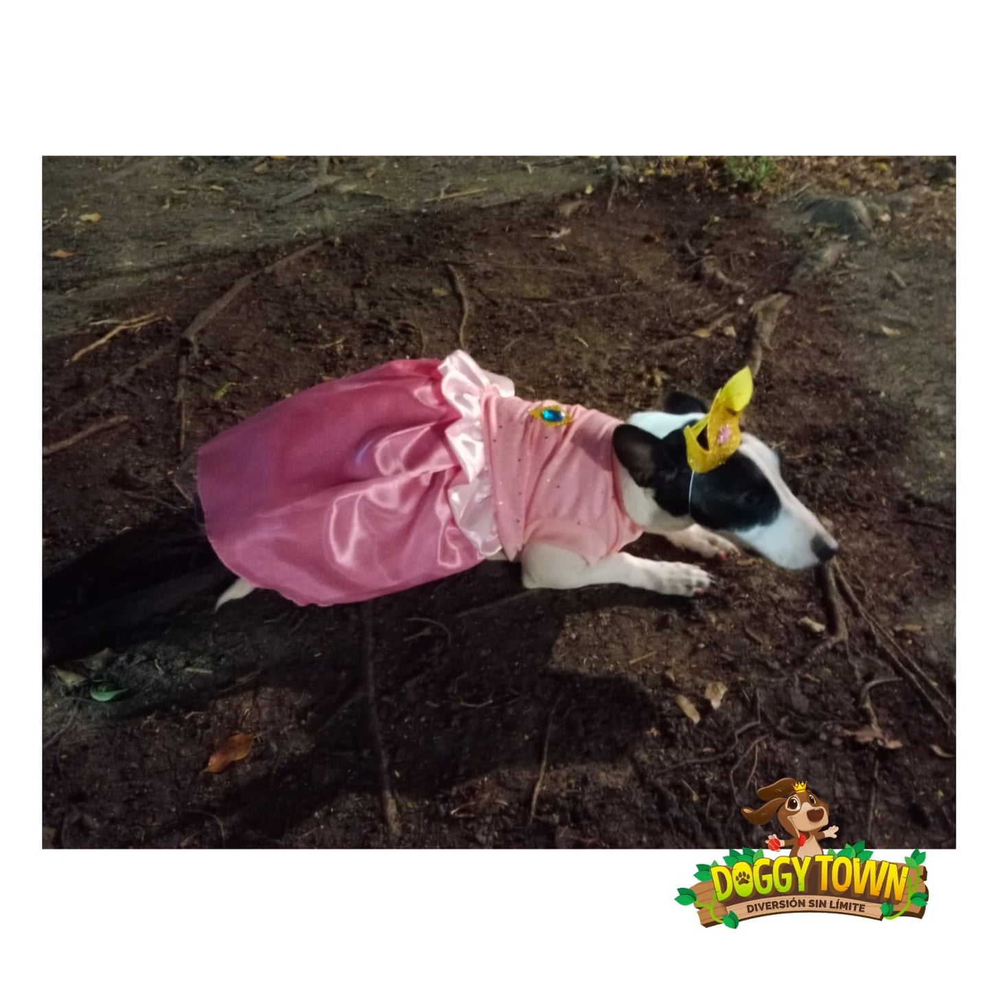 Princesa Peach