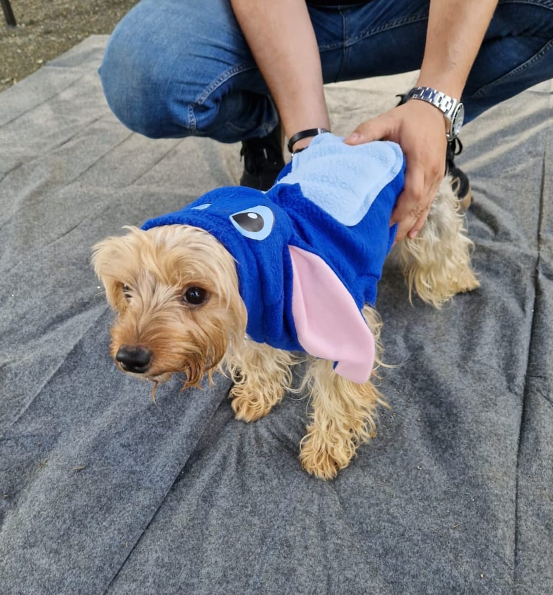 Disfraz de STITCH